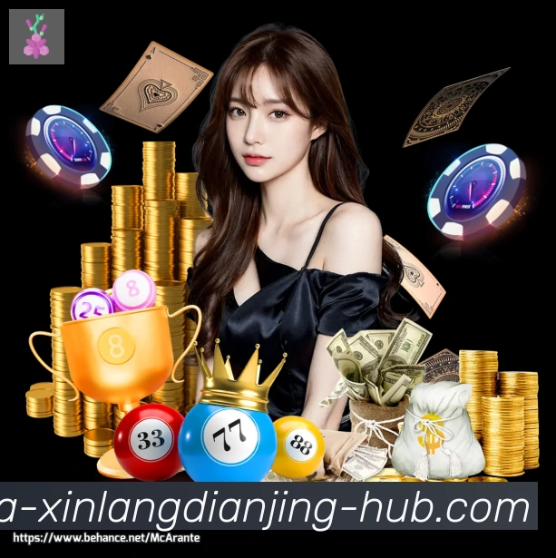 未来规划